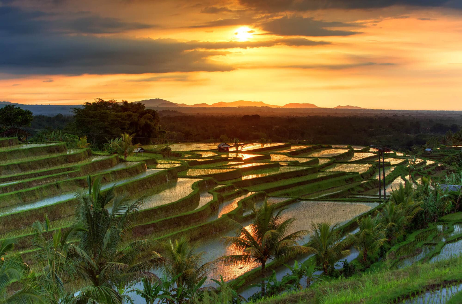 testosterone replacement therapy bali